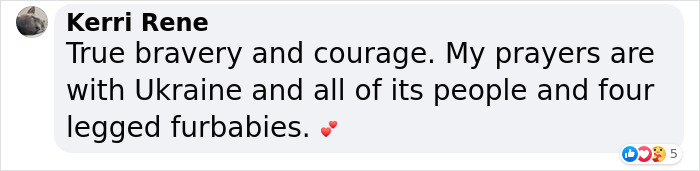 &ldquo;We Would Never Leave Our Country&rdquo;: Ukrainian Cat Caf&eacute; Stays Open Amid War