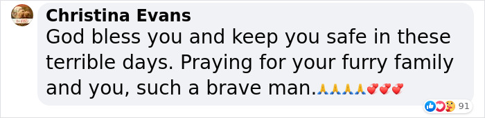 &ldquo;We Would Never Leave Our Country&rdquo;: Ukrainian Cat Caf&eacute; Stays Open Amid War