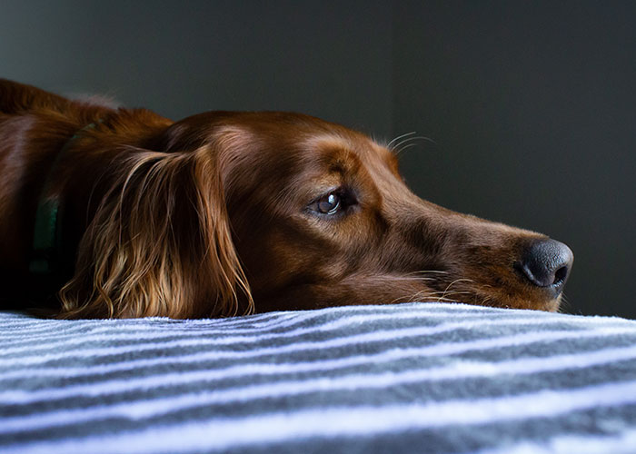 20 Policías cuentan cosas impactantes que les ocurrieron estando de servicio