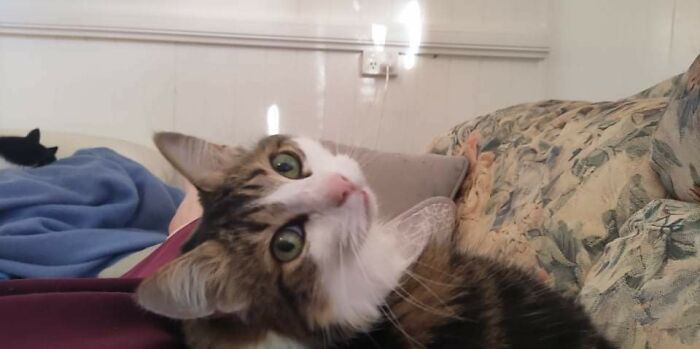 My Adorable Little Girl. I Love Her So Much.