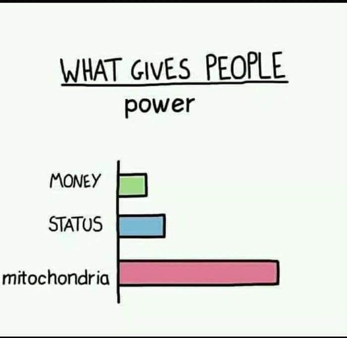 Science-Humor-Memes-Jokes