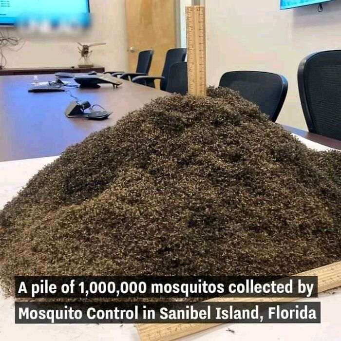 Science-Humor-Memes-Jokes