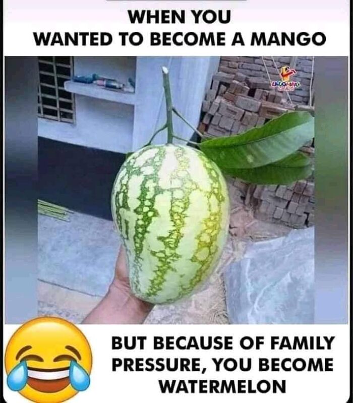 Science-Humor-Memes-Jokes