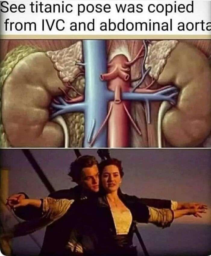 Science-Humor-Memes-Jokes