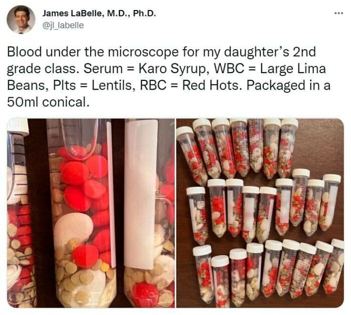 Science-Humor-Memes-Jokes