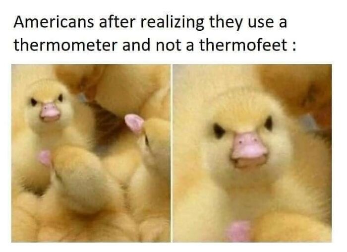 Science-Humor-Memes-Jokes