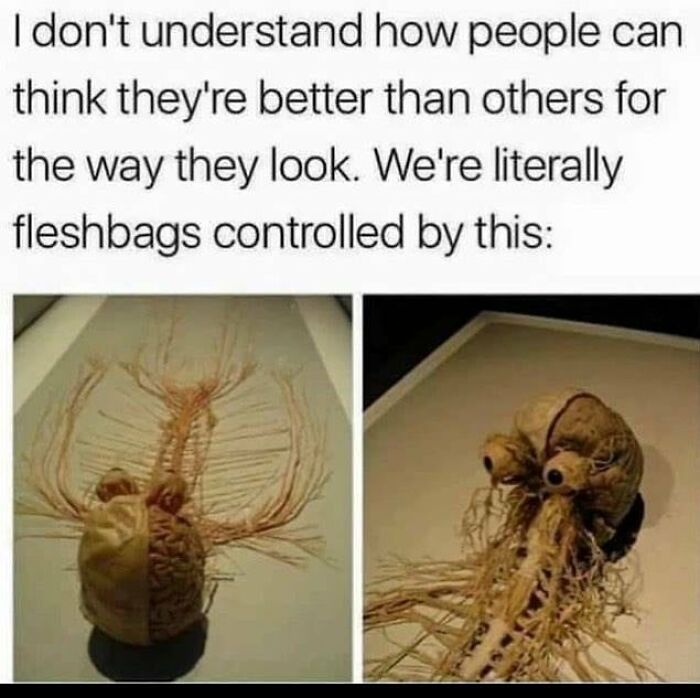 Science-Humor-Memes-Jokes