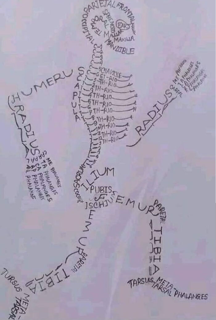 Science-Humor-Memes-Jokes