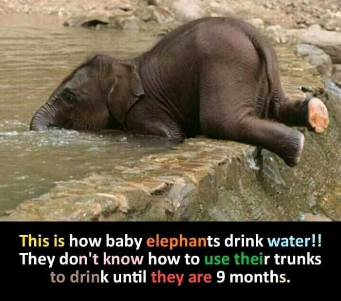 Science-Humor-Memes-Jokes