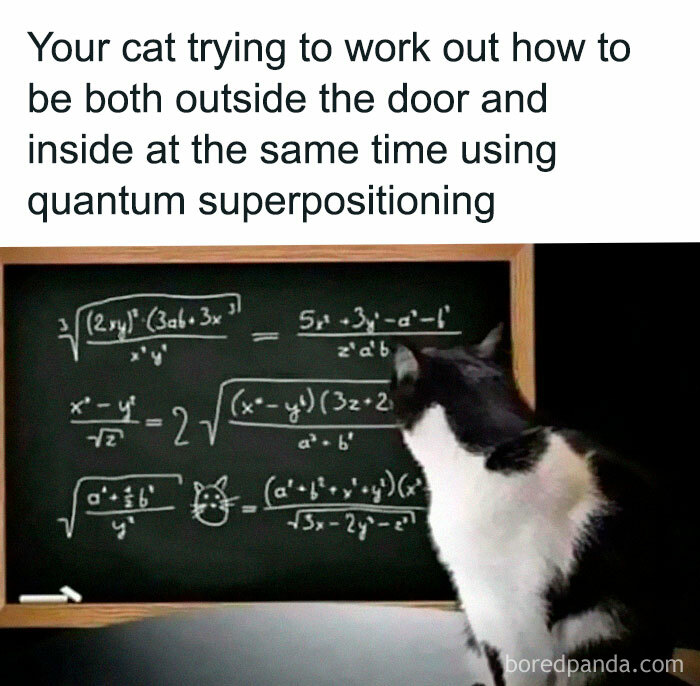 Science-Humor-Memes-Jokes