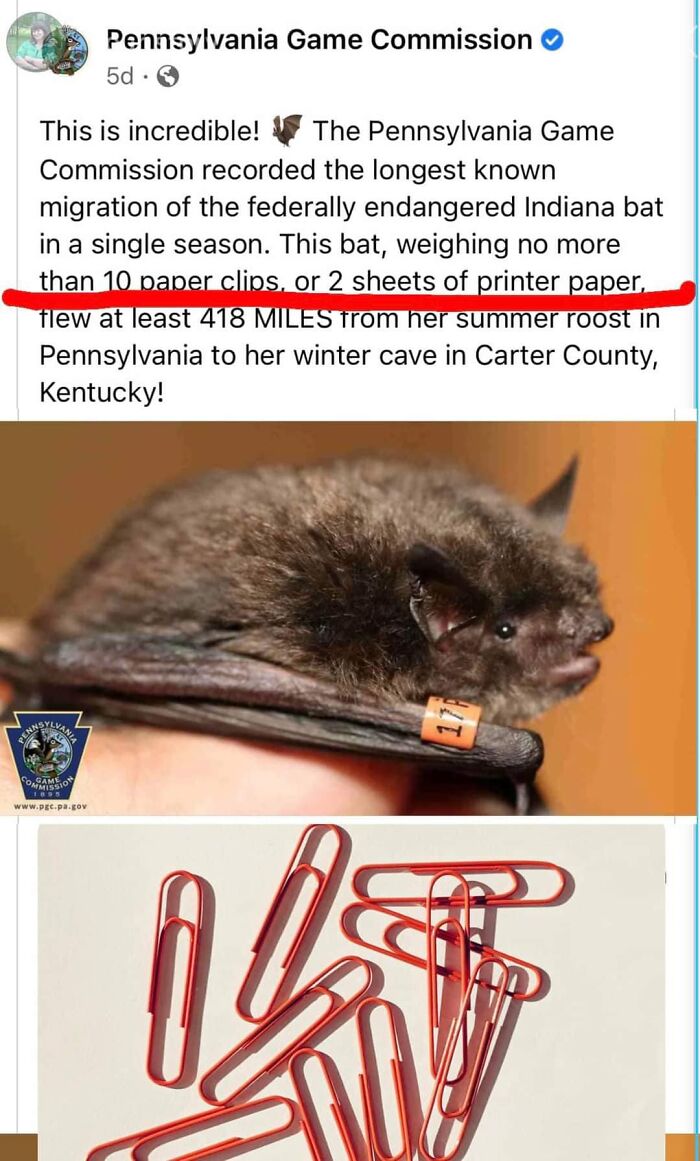 Science-Humor-Memes-Jokes