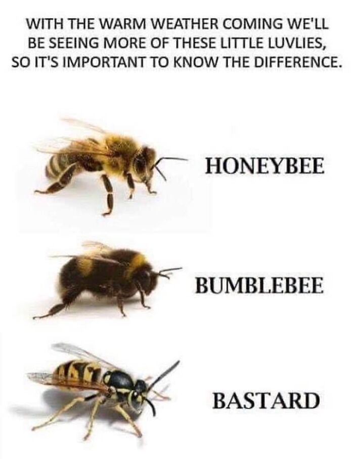 Science-Humor-Memes-Jokes