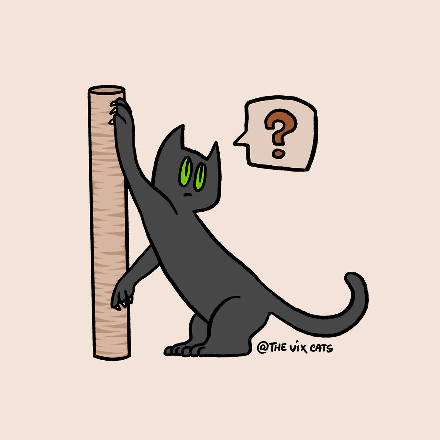 I Began Drawing Illustrations Of My Two Lovely Cats After I Got A Second Cat, Here's How It Went (21 Pics)