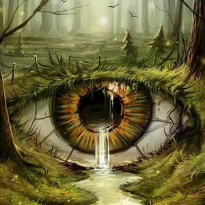 rosemary-locascio avatar