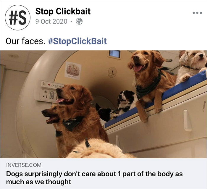 Stop-Clickbait-Funny-Article-Headings