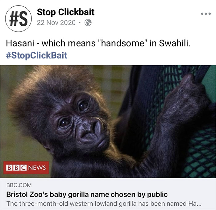 Stop-Clickbait-Funny-Article-Headings