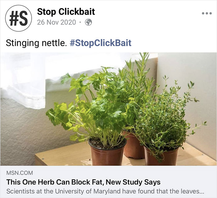 Stop-Clickbait-Funny-Article-Headings