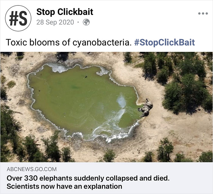 Stop-Clickbait-Funny-Article-Headings