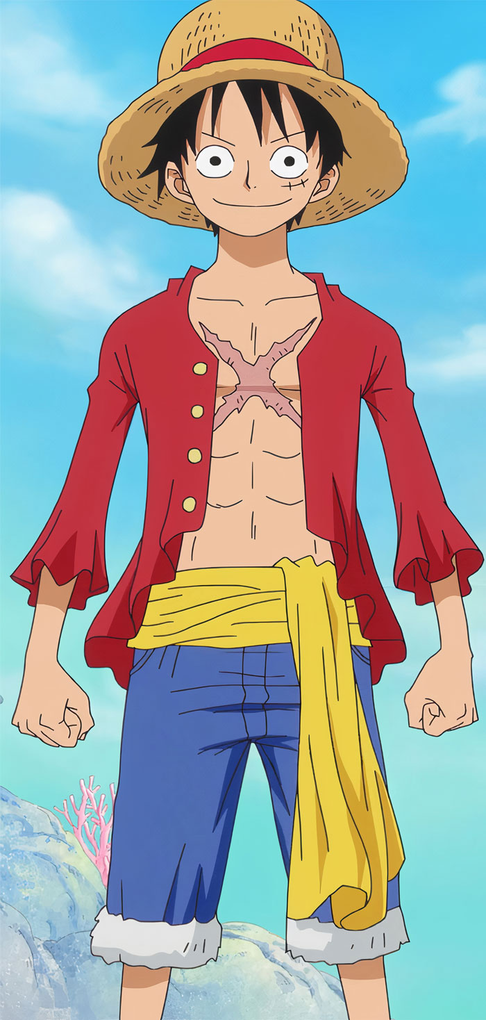 Monkey D. Luffy, One Piece