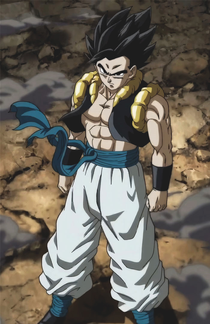 Gogeta, Dragon Ball