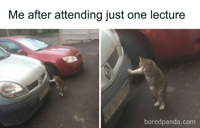 Student-University-Life-Memes