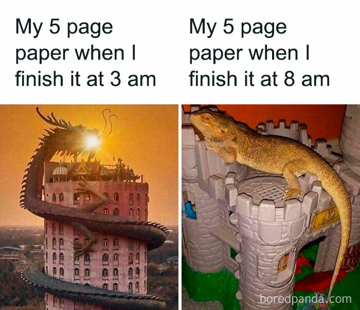 Student-University-Life-Memes