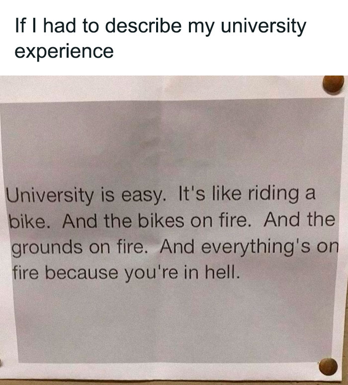 Student-University-Life-Memes