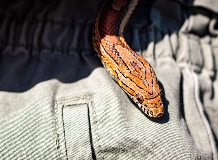 Someone Asked, 'What’s One Thing Your Partner Doesn’t Know?', 40 People Delivered