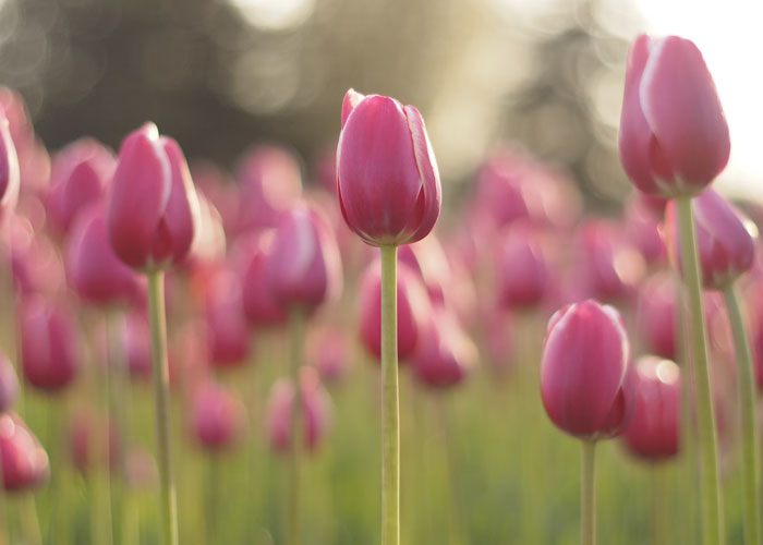 20 Inesperados actos de bondad que ocurrieron a lo largo de nuestra historia