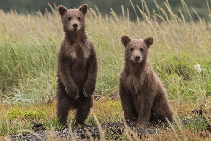20 Detalles erróneos sobre destinos populares turísticos, según quienes viven allí