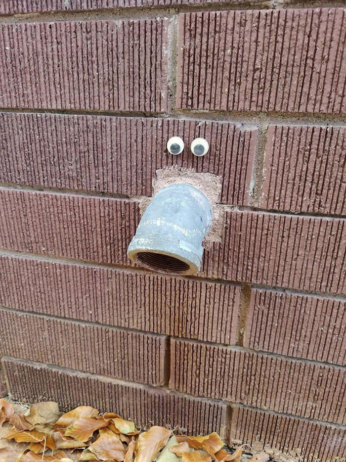 Googly eyes added above a metal pipe on a brick wall, enhancing the random object with wiggle eyes creativity.