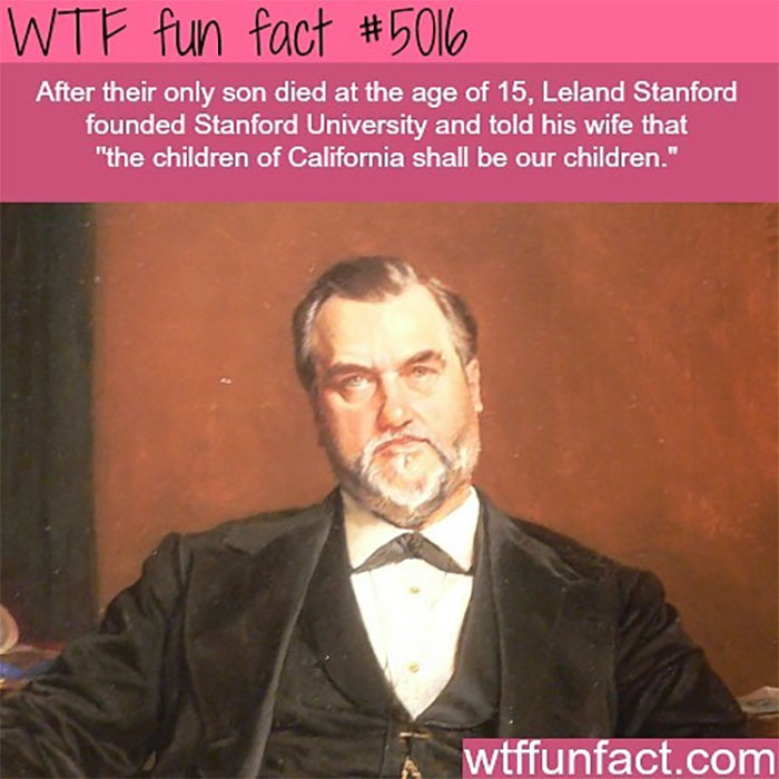 Weird-Fun-Facts