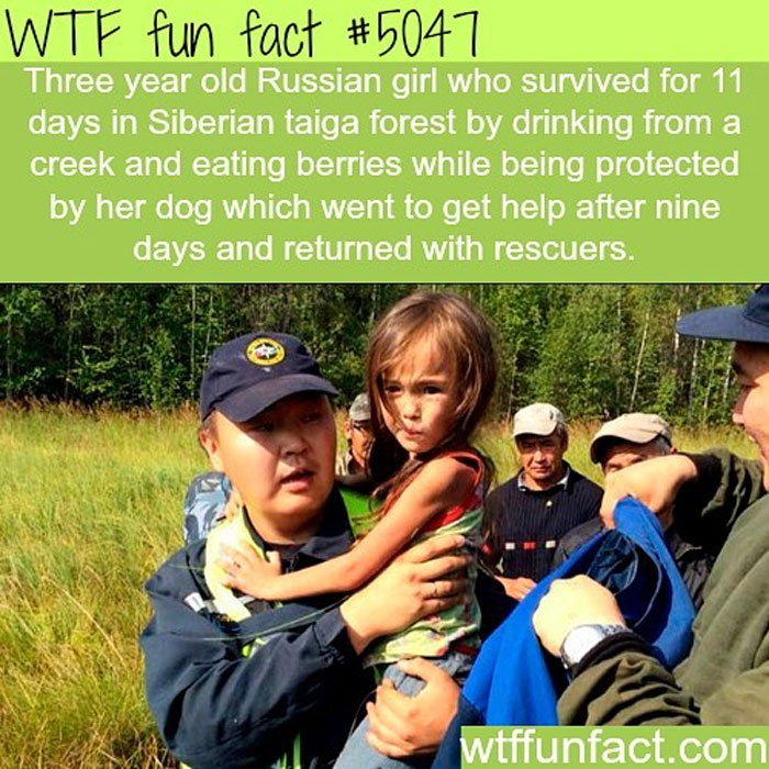Weird-Fun-Facts