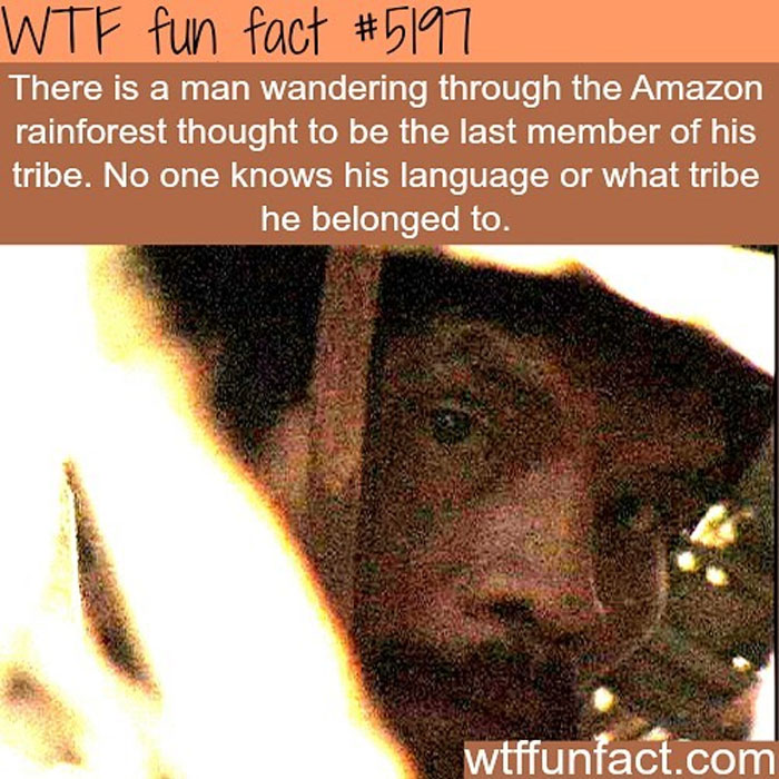 Weird-Fun-Facts