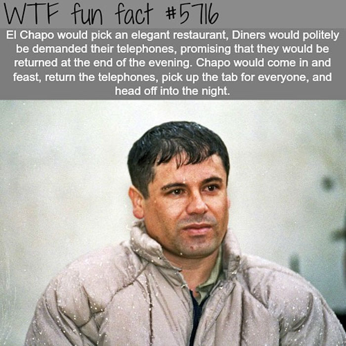 Weird-Fun-Facts