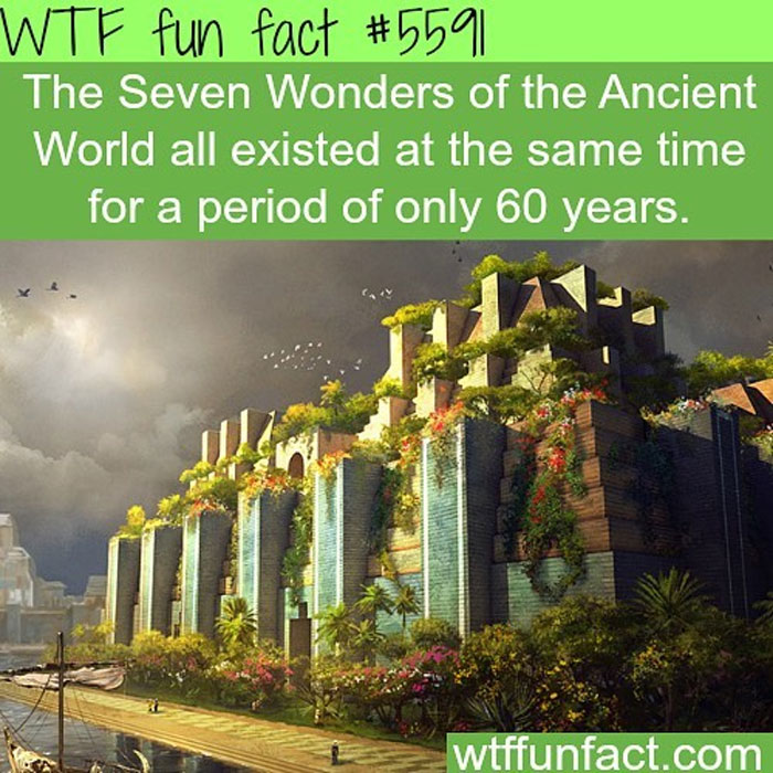 Weird-Fun-Facts