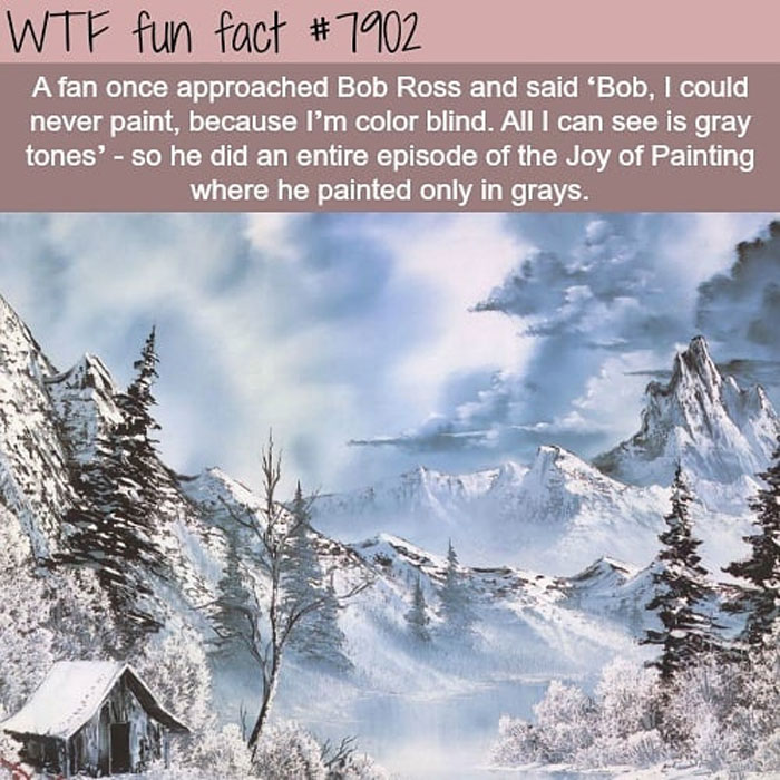 Weird-Fun-Facts