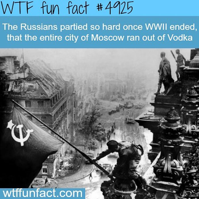 Weird-Fun-Facts