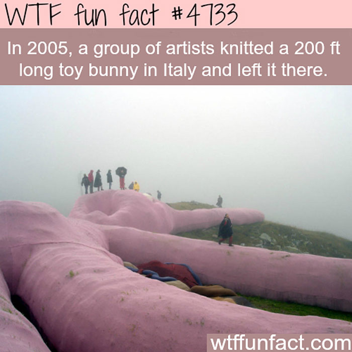 Weird-Fun-Facts