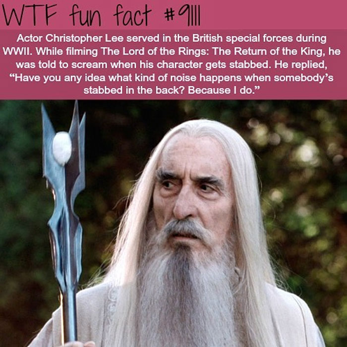 Weird-Fun-Facts