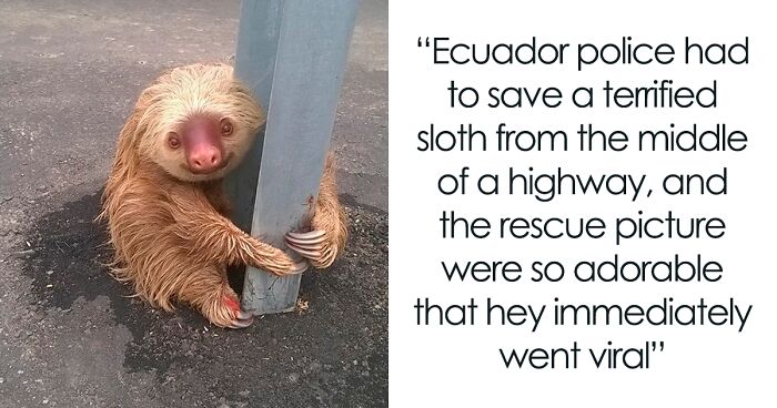 This Instagram Account Collects Mind-Boggling Facts About Our World And Here Are 50 Of The Wildest Ones