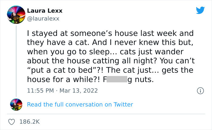 Online Folks Reveal 26 Stories About Cats And Their Engaging Night Routines