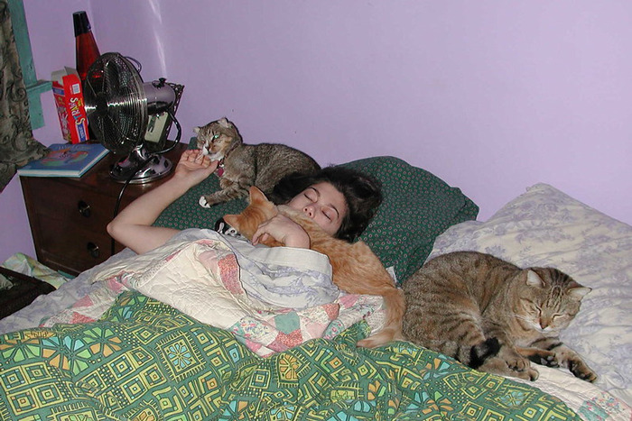 Online Folks Reveal 26 Stories About Cats And Their Engaging Night Routines