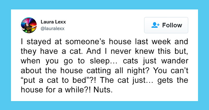 Online Folks Reveal 26 Stories About Cats And Their Engaging Night Routines