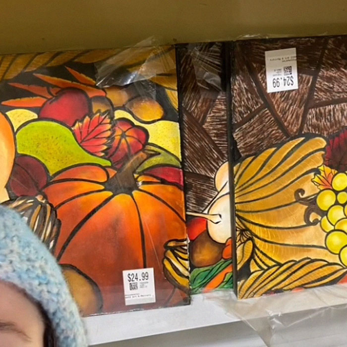 Woman Flabbergasted At Thrift Store's Prices, Calls Them Out By Sharing 14 Examples