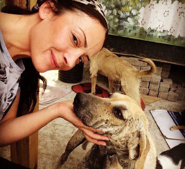 Almost Every Day After Work, This Woman Drives Up The Hills Of Sapanca In Turkey To Take Care Of Neglected Dogs There