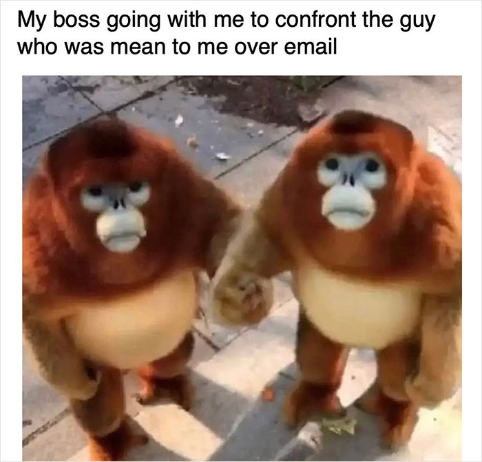 Work-Memes-Instagram