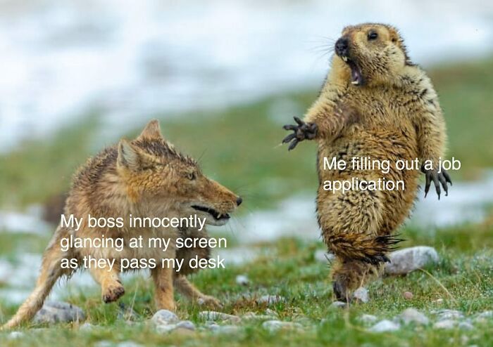 Work-Memes-Instagram