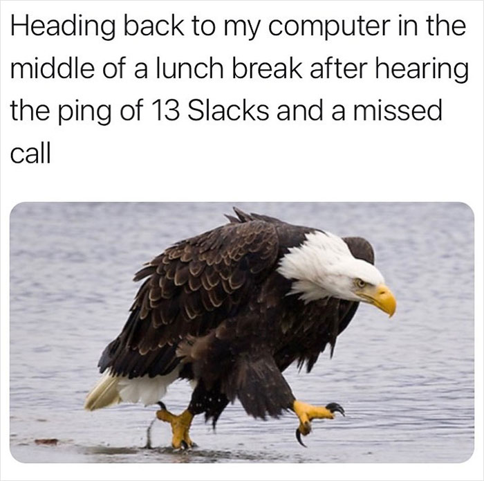 Work-Memes-Instagram