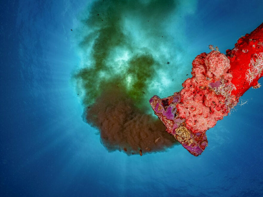 Nature Photojournalism, Silver: Alexej Sachov, Ukraine